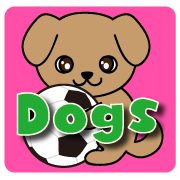 愛犬 海外サッカー選手の愛する可愛いペットたち マルセロ編 海外サッカーを楽しむ主婦のブログ